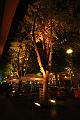 T-20151006-202814_IMG_0485-6