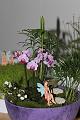 T-20151012-151914_IMG_0727-6