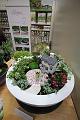 T-20151012-151946_IMG_8794-5