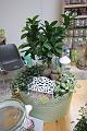 T-20151012-152124_IMG_8801-5