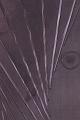 T-20151016-203944_IMG_9085-6