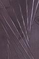 T-20151016-203953_IMG_9087-6