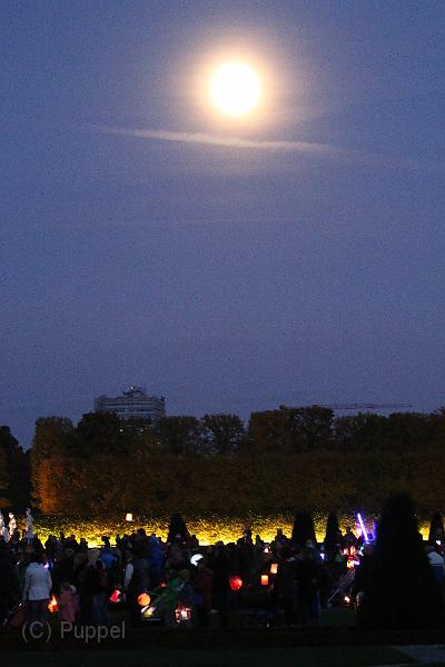 T-20151025-184407_IMG_9955-7.JPG