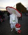 T-20151025-175624_IMG_8580-6a