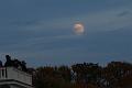 T-20151025-180236_IMG_9764-7
