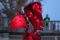T-20151025-182813_IMG_9860-7
