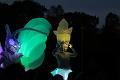 T-20151025-183008_IMG_9885-7