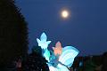 T-20151025-183242_IMG_9928-7