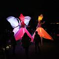 T-20151025-184646_IMG_8656-6a