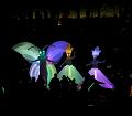 T-20151025-191620_IMG_0191-7a