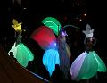T-20151025-192326_IMG_0344-7a