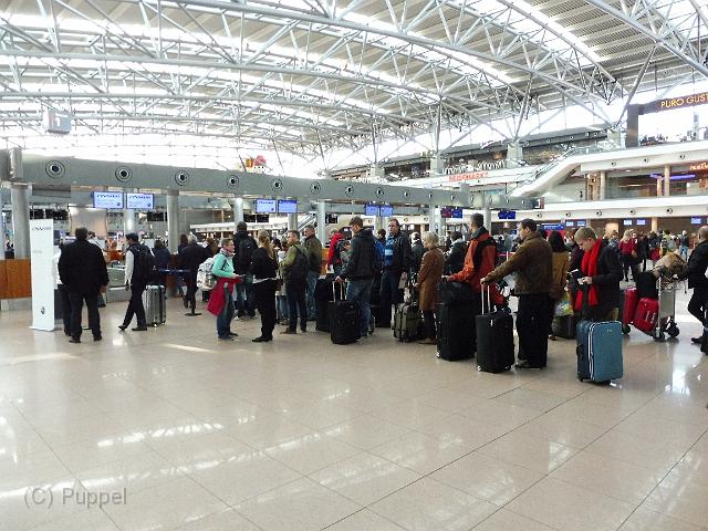 T-20151101-120011_P1100034-8.JPG