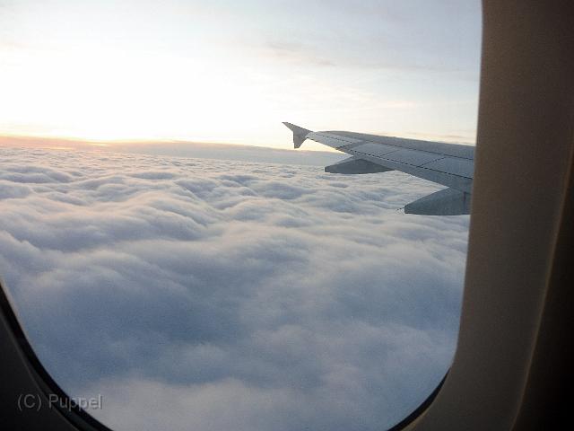 T-20151101-163109__P1100529-8.JPG