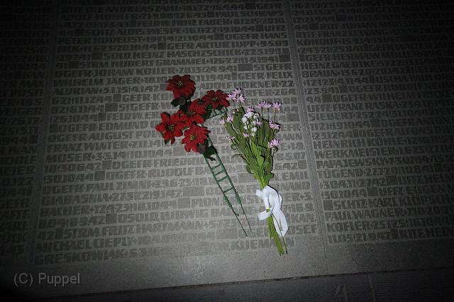 T-20151103-153054_IMG_0614-7.JPG