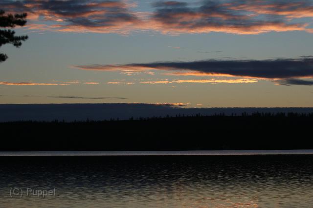 T-20151103-153404_IMG_1356-6.JPG