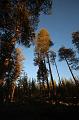 T-20151103-143656_IMG_0403-7