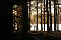 T-20151103-144036_IMG_1218-6