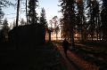 T-20151103-144412_IMG_0416-7