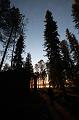 T-20151103-144414_IMG_0418-7