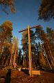 T-20151103-144756_IMG_0450-7