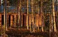 T-20151103-145216_IMG_1257-6a