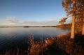 T-20151103-145228_IMG_0470-7
