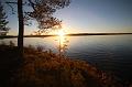 T-20151103-145236_IMG_0472-7