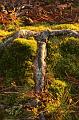 T-20151103-145250_IMG_1265-6