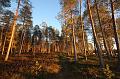 T-20151103-145456_IMG_0475-7