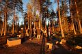 T-20151103-150056_IMG_0484-7