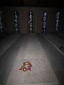 T-20151103-151538_IMG_0536-7a