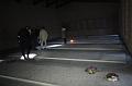 T-20151103-152154_IMG_0558-7