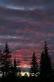T-20151103-155445_IMG_1381-6