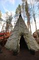 T-20151104-122742_IMG_1586-7