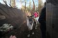T-20151104-123026_IMG_1602-7