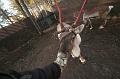 T-20151104-123054_IMG_1634-7a