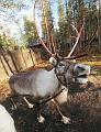 T-20151104-123116_IMG_1677-7a