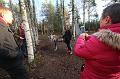 T-20151104-123424_IMG_1742-7