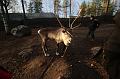 T-20151104-123754_IMG_1814-7