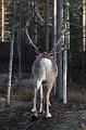 T-20151104-124024_IMG_0749-6