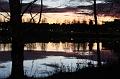 T-20151104-170137_IMG_0865-6