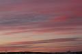 T-20151105-080125_IMG_0892-6