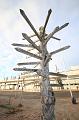 T-20151105-122408_IMG_2289-7