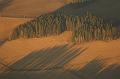 T-20151105-151028_IMG_2534-7