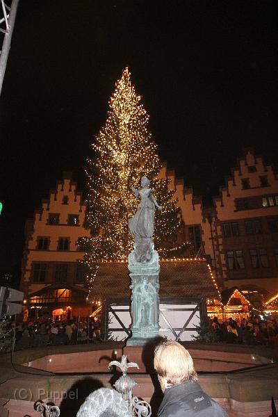 T-20151125-174923_IMG_0005-6.JPG