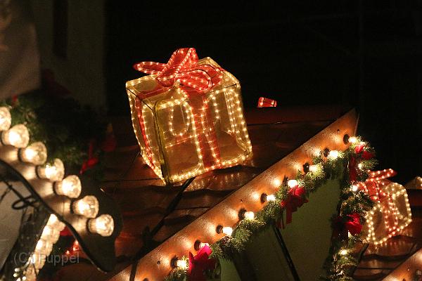 T-20151125-182009_IMG_5289-7.JPG
