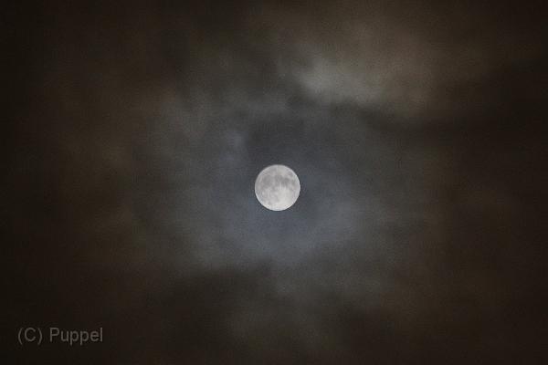 T-20151125-201645_IMG_5523-7.JPG
