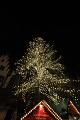 T-20151125-175117_IMG_0008-6
