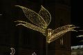 T-20151126-173238_IMG_5806-7