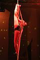 T-20151128-201403_IMG_6241-7